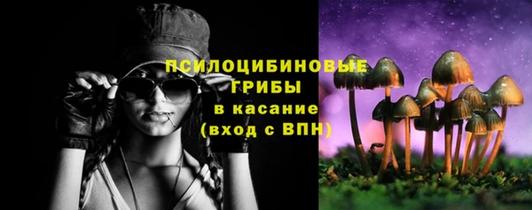 стафф Алексин