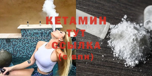 крисы Няндома