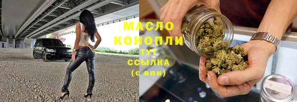 крисы Няндома